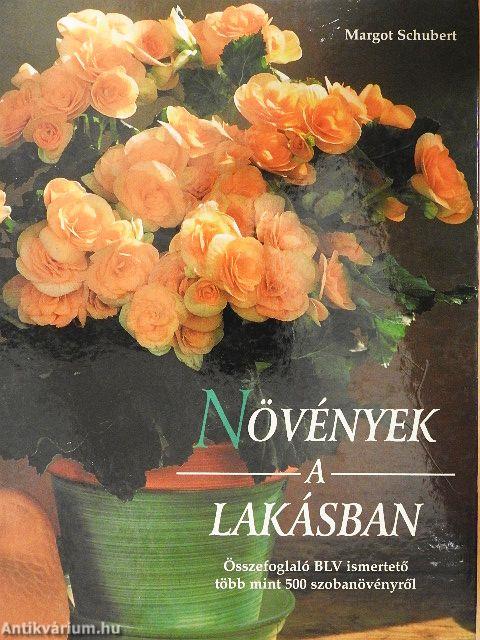 Növények a lakásban