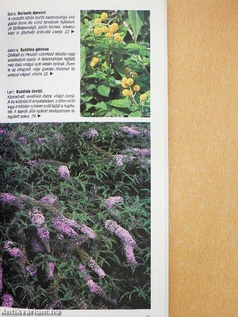 Cserjék és törpefák