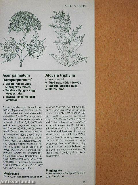 Cserjék és törpefák