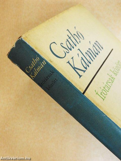 Írótársak között