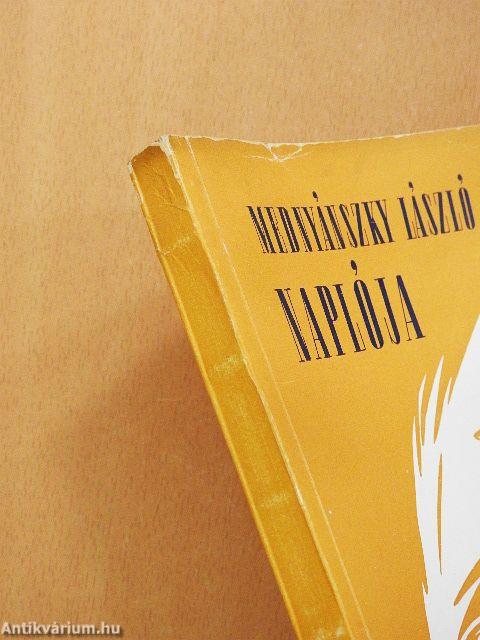 Mednyánszky László naplója