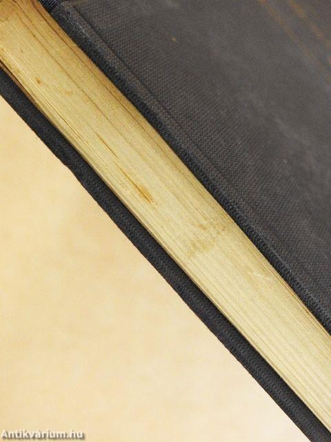 Az asszony meg a fészek