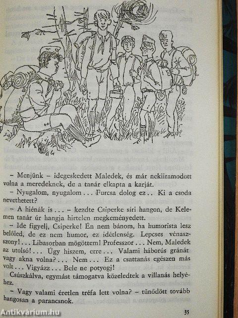 A vámpírok sziklája