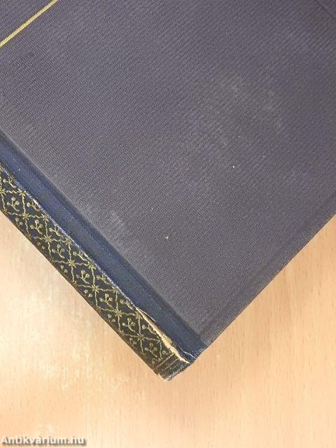 Az asszony meg a fészek