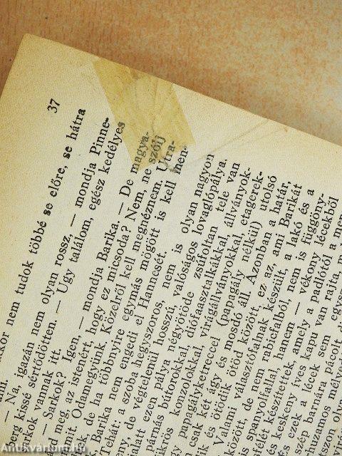 Mi lesz veled - emberke?