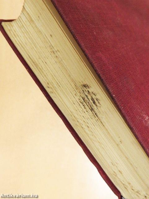 Madách az ember és a költő