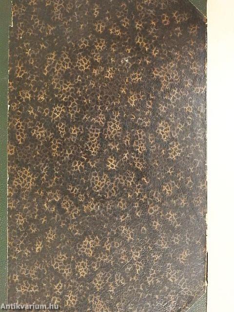 Egy szegény ifju története