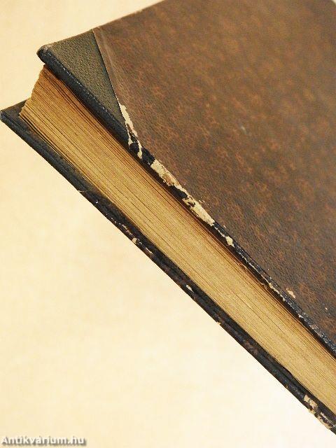 Egy szegény ifju története