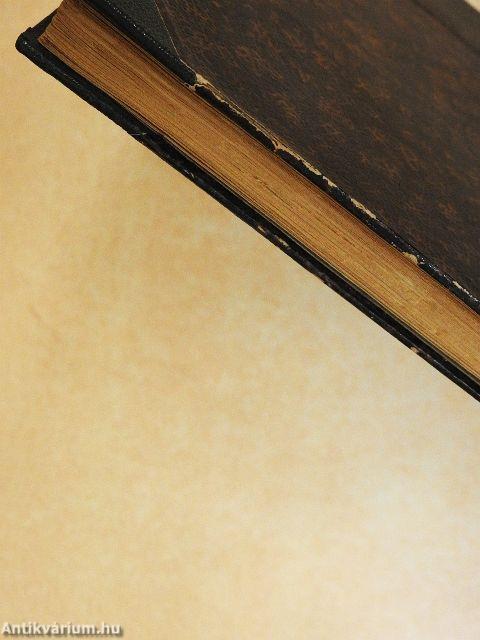 Egy szegény ifju története