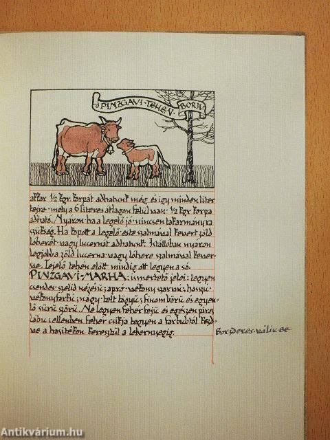 Testamentum és agrikultura