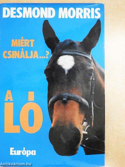 Miért csinálja...? A ló