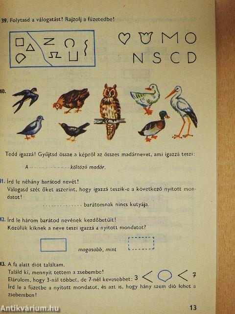 Matematika - feladatgyűjtemény 2.