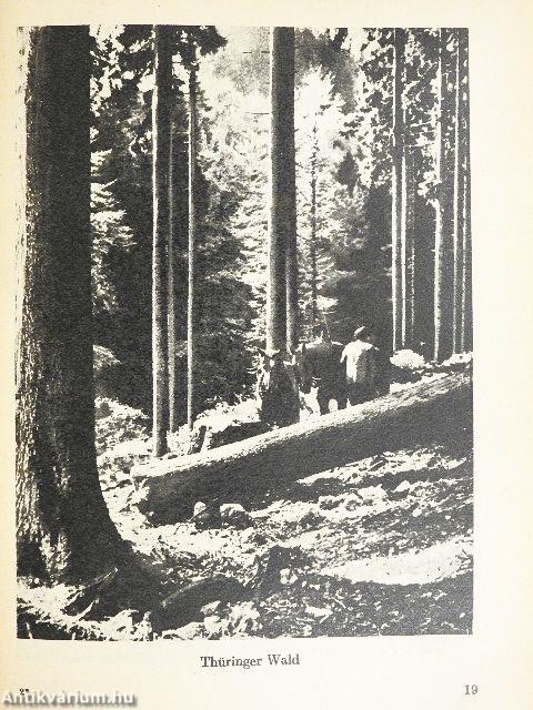 Német nyelvkönyv II.