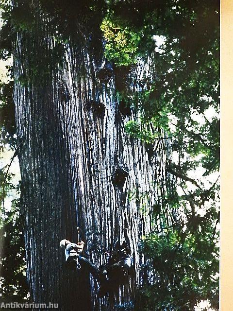 National Geographic Magyarország 2006. február