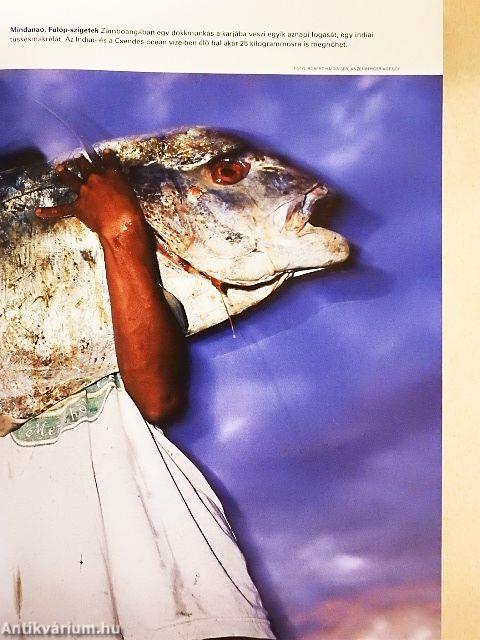 National Geographic Magyarország 2006. május