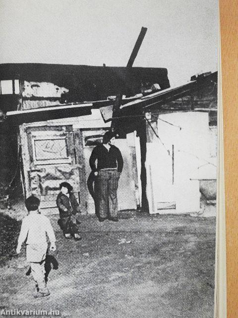 A Makoldi család