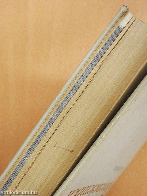 A város a történelemben