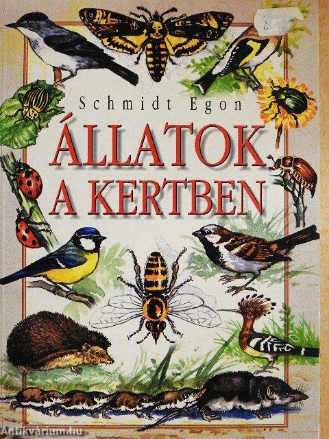 Állatok a kertben