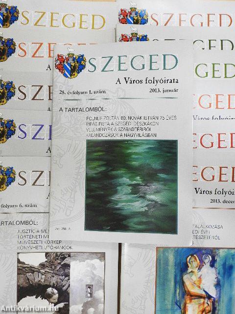 Szeged 2013. január-december
