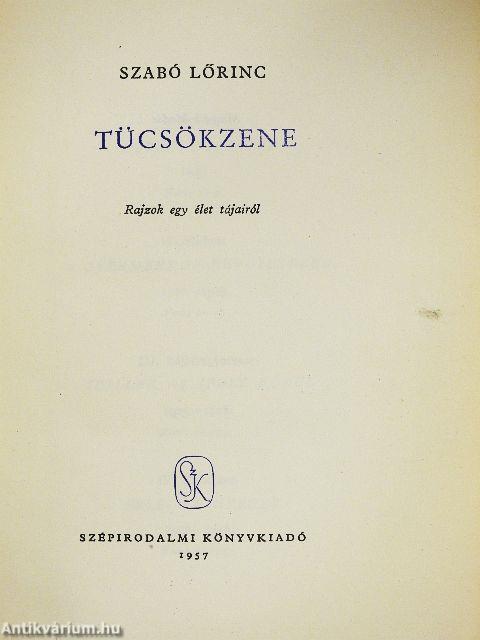 Tücsökzene