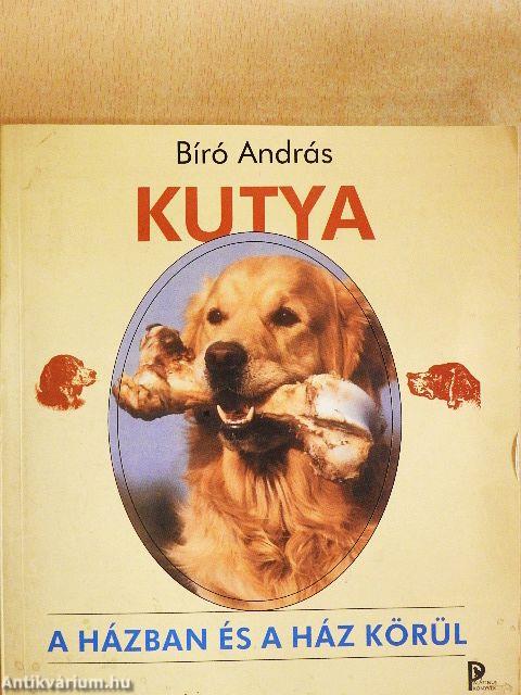 Kutya a házban és a ház körül