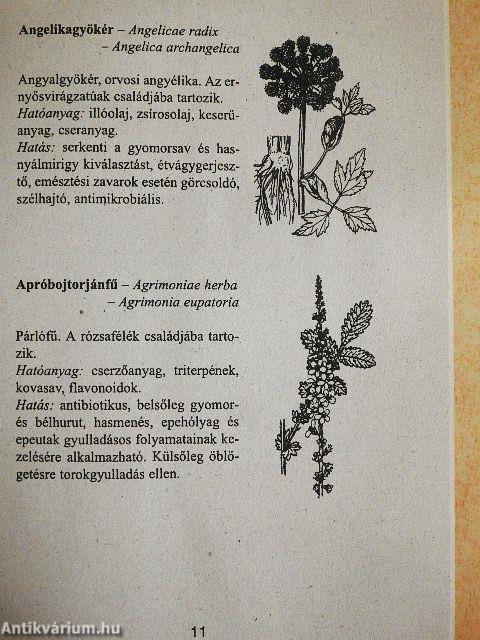 Gyógynövények és gyógyteák