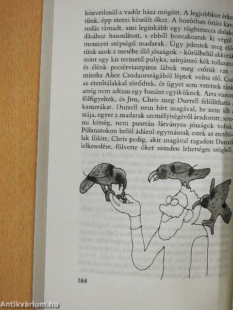 Állatok az ágyamban