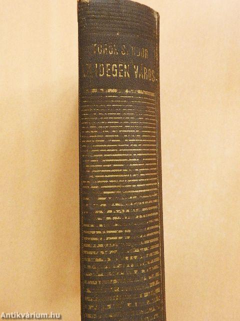 Az idegen város I-II.