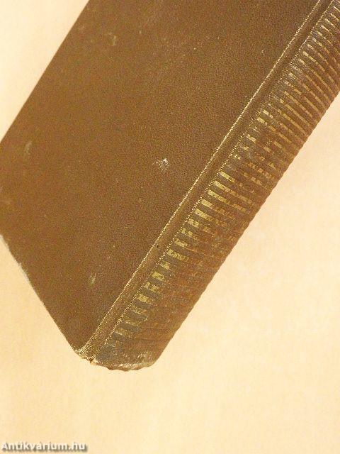 Az idegen város I-II.