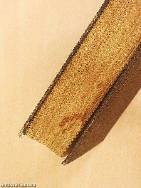 Az idegen város I-II.