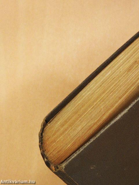 Az idegen város I-II.