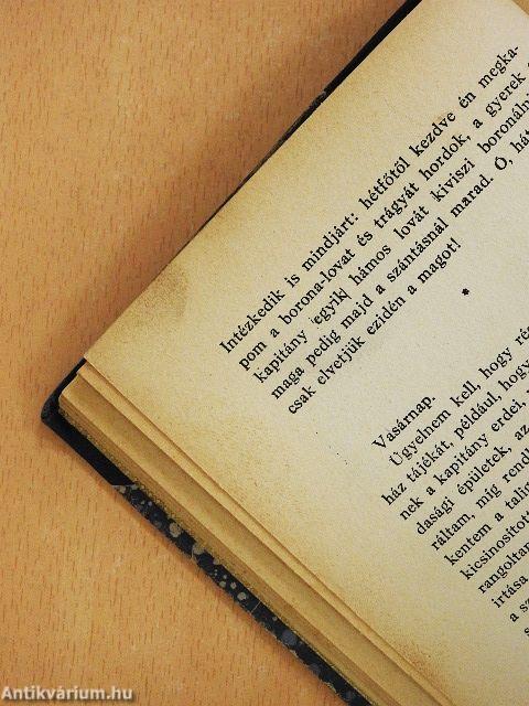 Halk húrokat penget a vándor