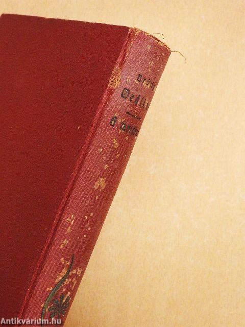 Medikus/A tanitónő