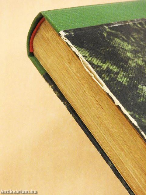 Szegény leány is férjhez mehet