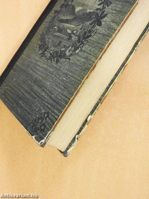 Der Dorfapostel (gótbetűs)