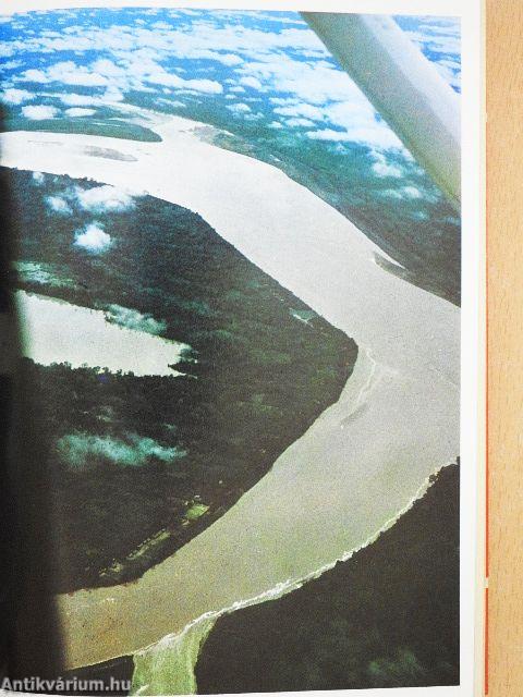 Az Ucayali delfinjei