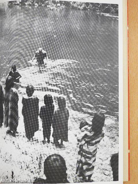 Az Ucayali delfinjei