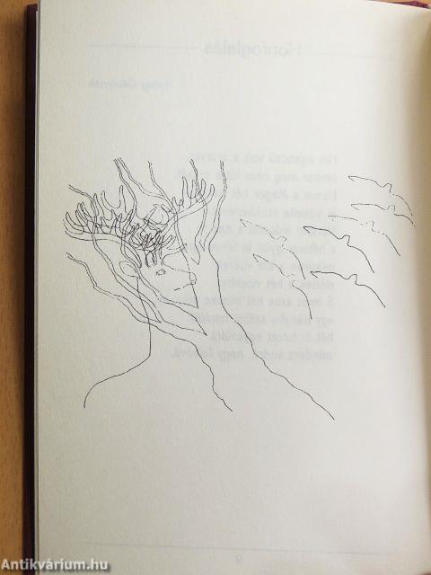 A honfoglalás felszámolása