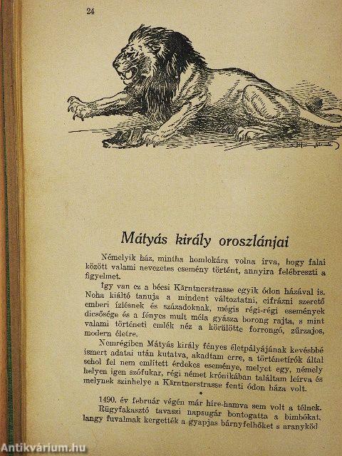 Őserdőkön, tengereken