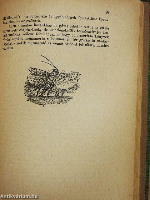 Őserdőkön, tengereken