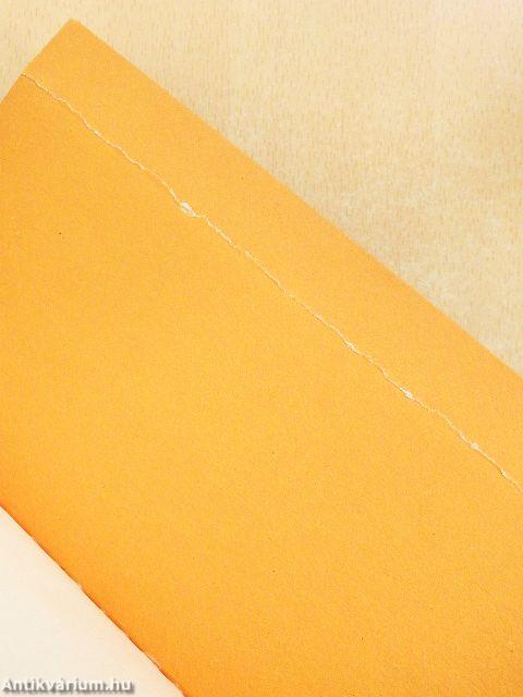 Író a Hadakútján