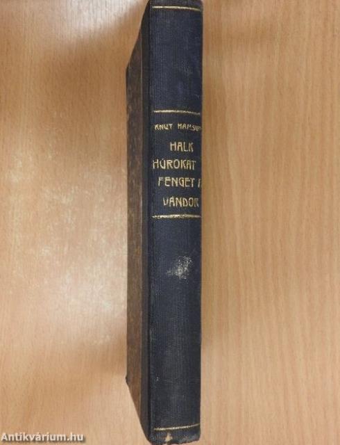 Halk húrokat penget a vándor