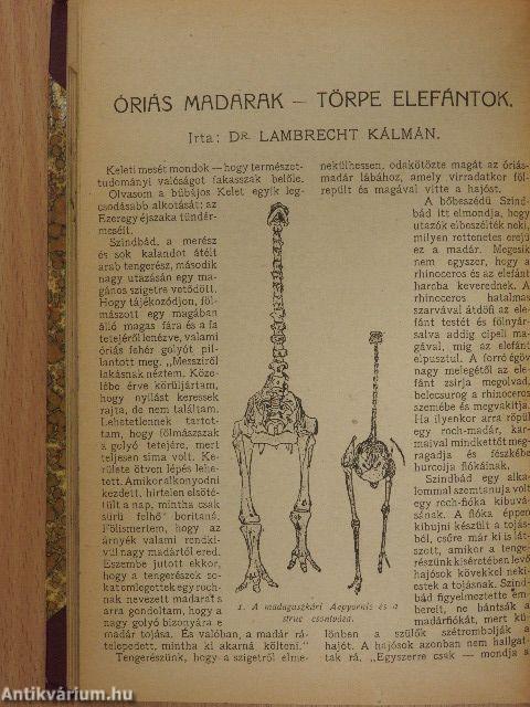 Pesti Hirlap Naptára 1920