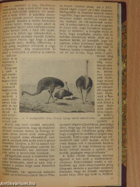 Pesti Hirlap Naptára 1920