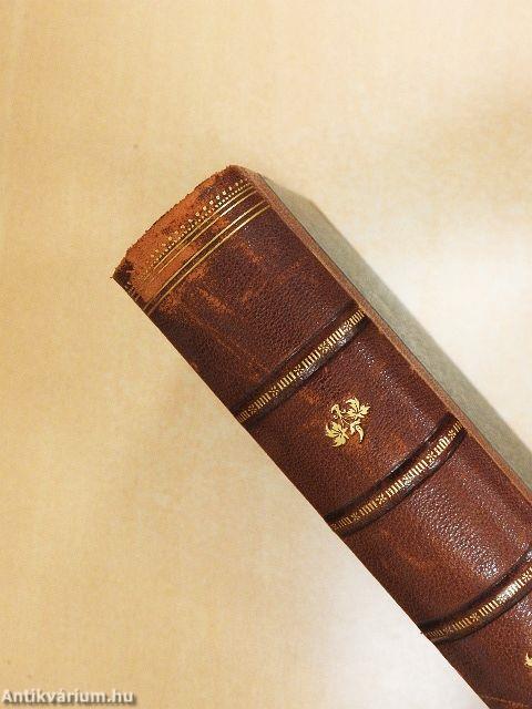 Renaissance und Humanismus in Italien und Deutschland (gótbetűs)