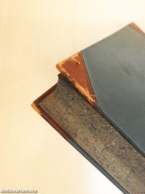 Renaissance und Humanismus in Italien und Deutschland (gótbetűs)