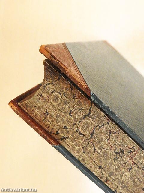 Renaissance und Humanismus in Italien und Deutschland (gótbetűs)