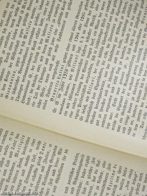 Renaissance und Humanismus in Italien und Deutschland (gótbetűs)