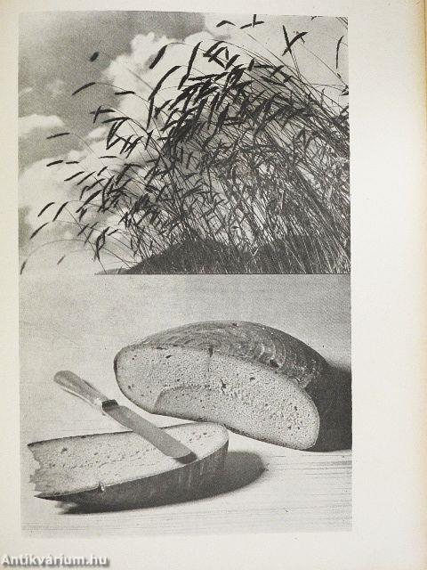 Österreichischer Alpenkalender 1948