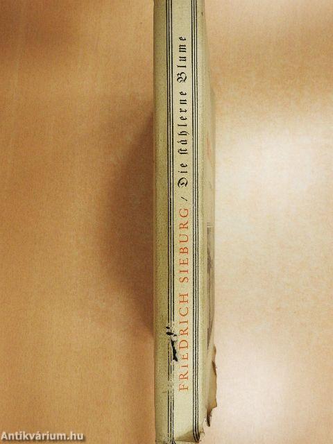 Die stählerne Blume